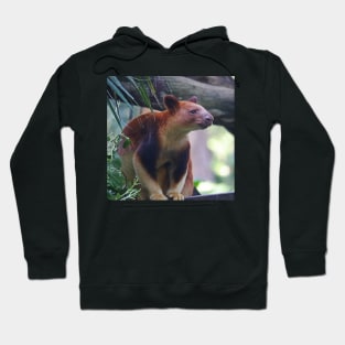 Goodfellow's Tree Kangaroo Hoodie